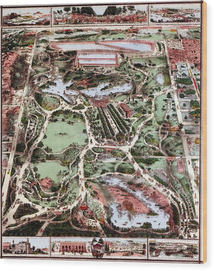 Old Map Of Central Park 1860 - Wood Print