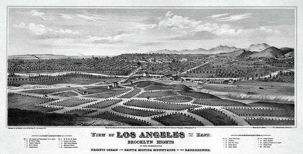 Los Angeles 1877 - Art Print