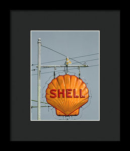 Old, Vintage Shell Gas Station Sign - Framed Print