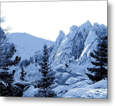 Scenic - Cathedral Park Blue - Metal Print