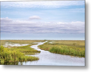 Scenic Lowcountry Marsh View - Metal Print