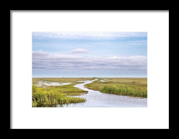 Scenic Lowcountry Marsh View - Framed Print