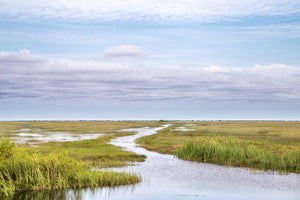 Scenic Lowcountry Marsh View - Art Print