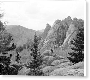 Vintage Scenic View Of Cathedral Park - Canvas Print