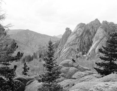 Vintage Scenic View Of Cathedral Park - Art Print