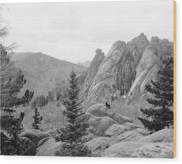 Vintage Scenic View Of Cathedral Park - Wood Print