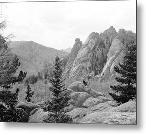 Vintage Scenic View Of Cathedral Park - Metal Print