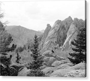 Vintage Scenic View Of Cathedral Park - Acrylic Print